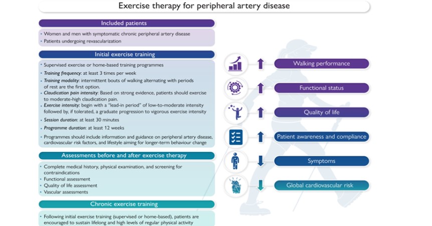 infographic on best exercise for peripheral arterial disease 